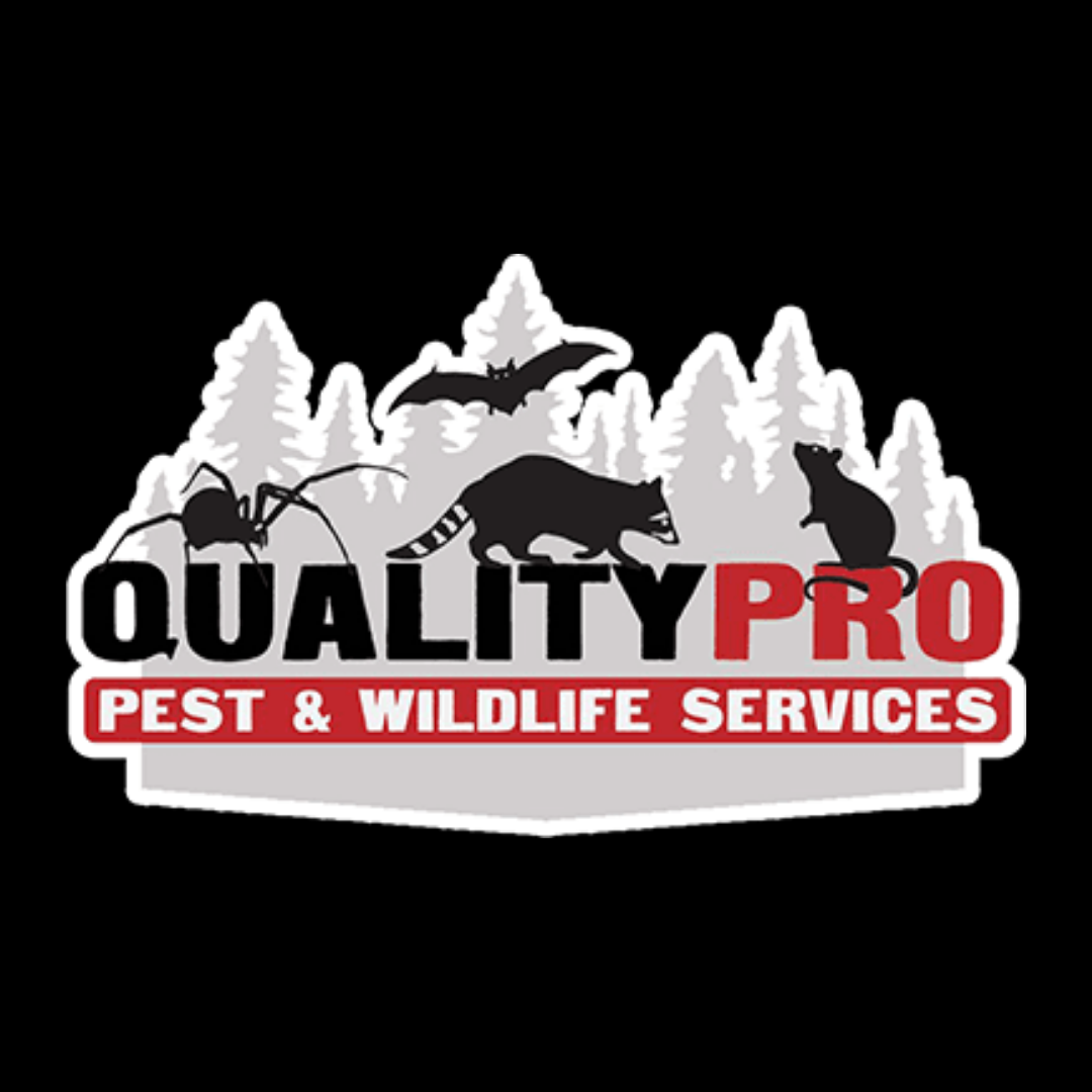 QualityPro Pest & Wildlife Services