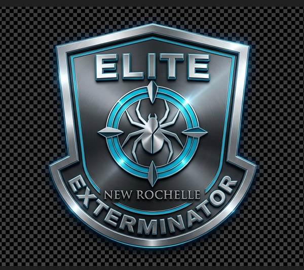 Elite New Rochelle Exterminator