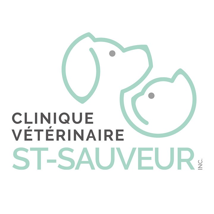 Hôpital Vétérinaire St-Sauveur