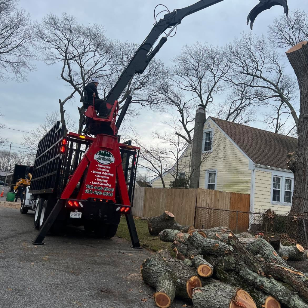 García Tree Removal Service