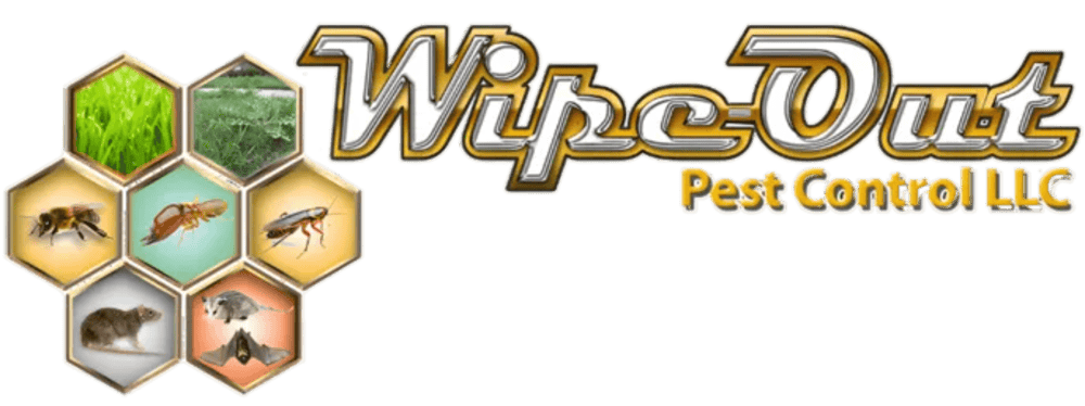 Wipe-Out Pest Control LLC