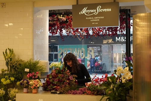 Moyses Stevens Flowers