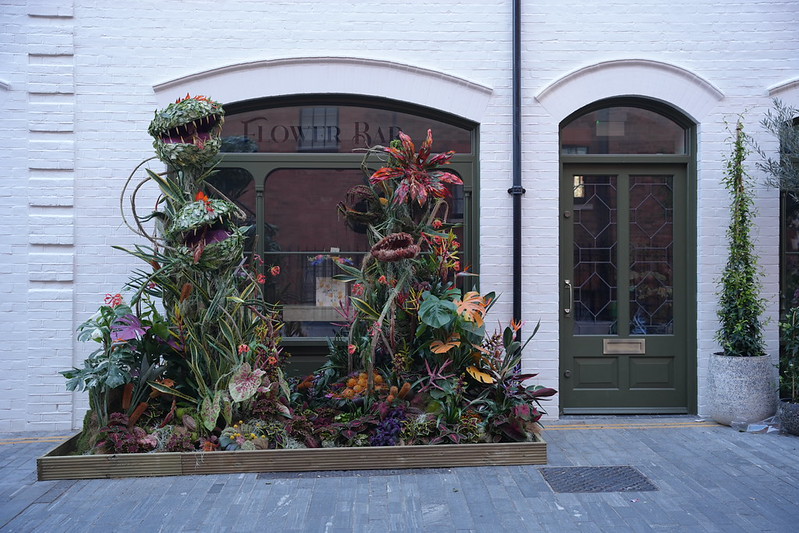 Moyses Stevens Flowers
