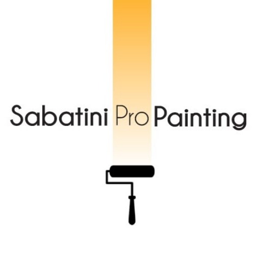 Sabatini Pro Painting