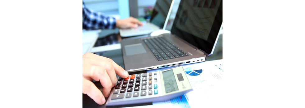 File & Trust Tax Service