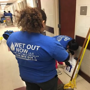 mold removal alabama