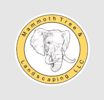 AAA Mammoth Tree & Landscaping