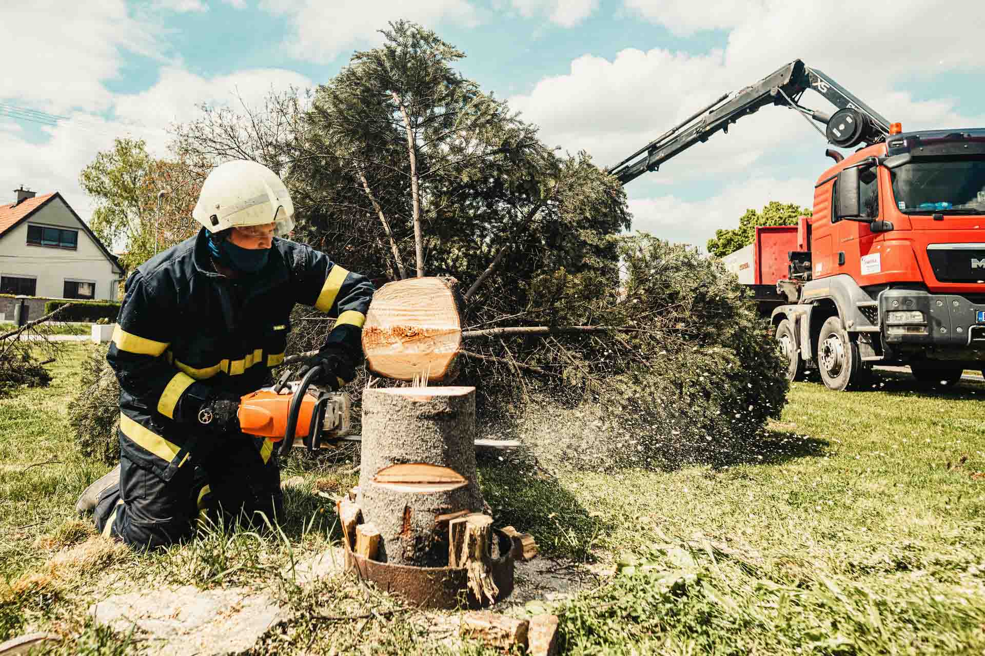 Pro Sarnia Tree Services