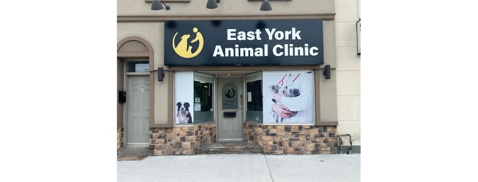 East York Animal Clinic