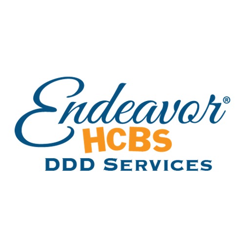 Endeavor DDD Services