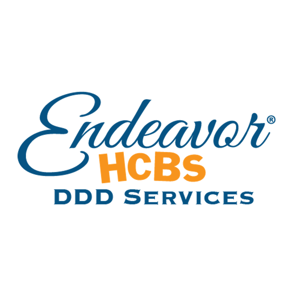 Endeavor DDD Services