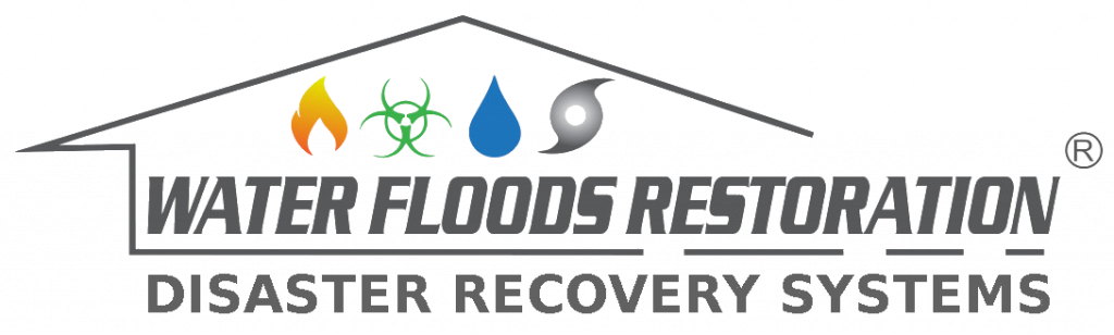 Disaster Recovery Systems