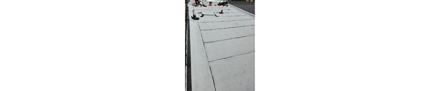 Riley Roofing