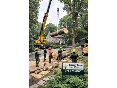 King Tree Services LLC