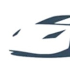 PLPD Insurance - Flint