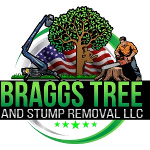 Bragg's Tree & Stump Removal