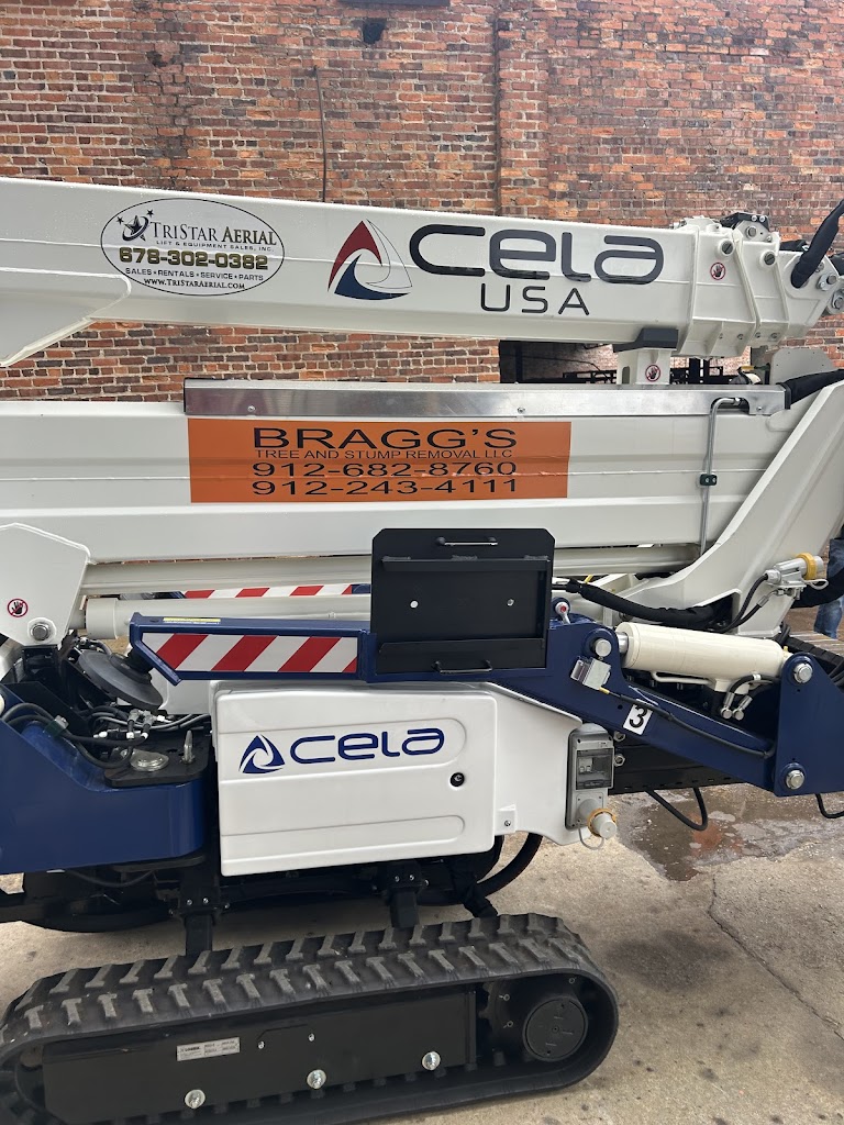 Bragg's Tree & Stump Removal