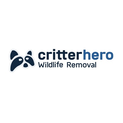 Critter Hero Wildlife Removal Grimsby