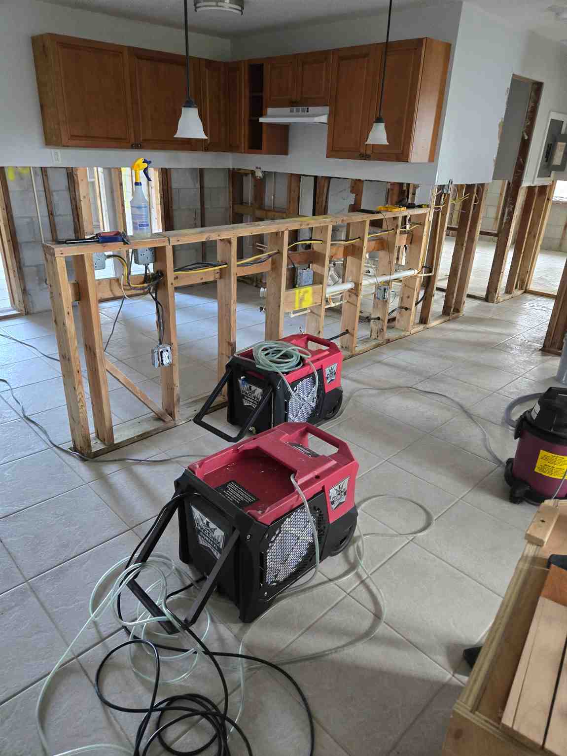 Mold Rx Restoration