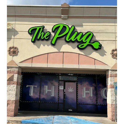 The Plug