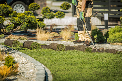 Lawrence Lawn Pros