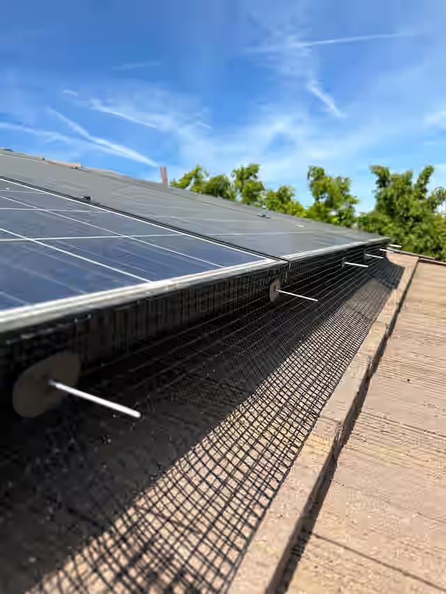 Gutter Cleaning & Moss Removal (EXT)