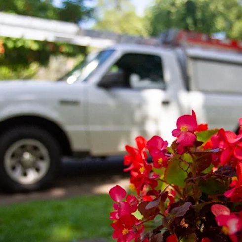 Richland Pest & Bee Control
