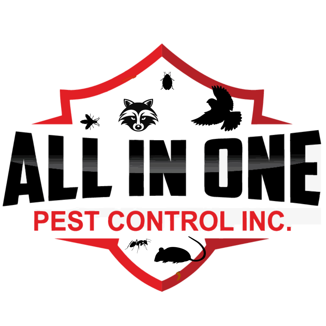 All In One Pest Control Toronto