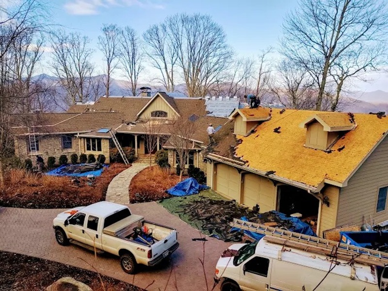 Roof Us, Roof Guy!