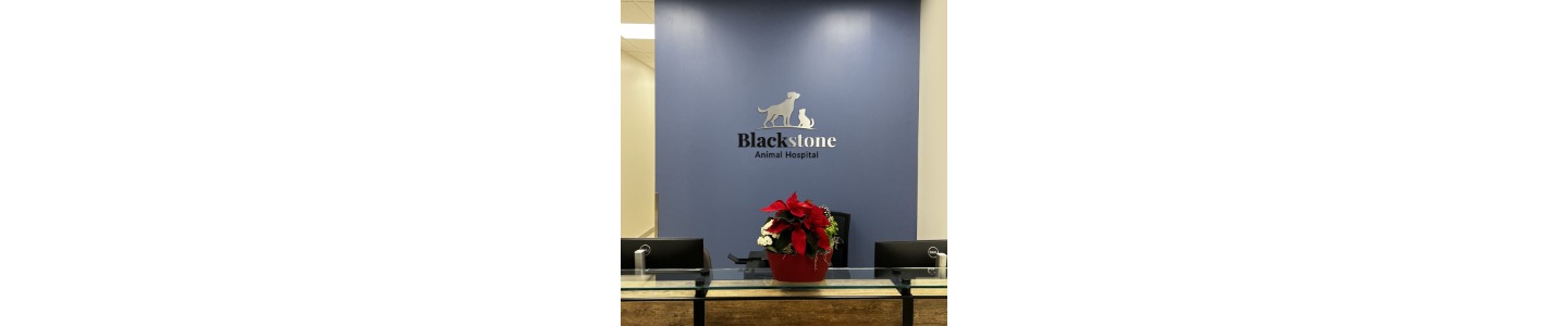 Blackstone Animal Hospital