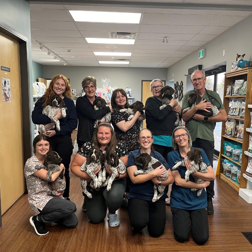 Coventry Animal Hospital