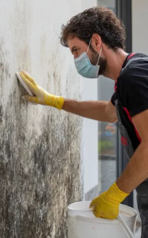 Hazpro Restoration Ltd