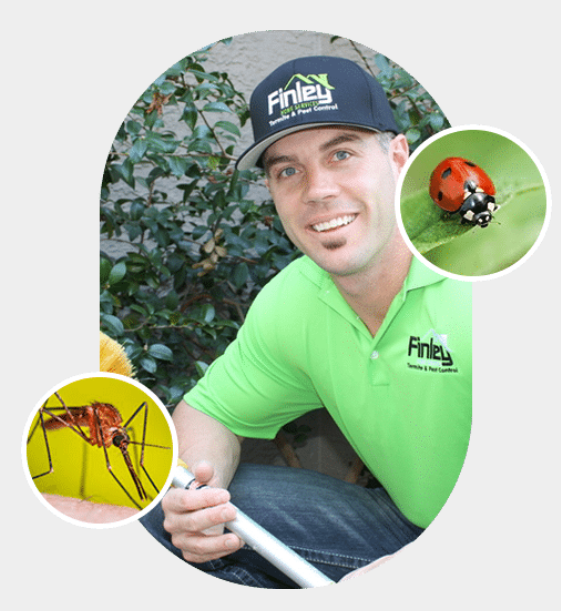 Finley Pest Control