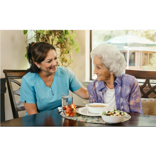 Always Best Care Senior Services - Home Care Services in Orlando