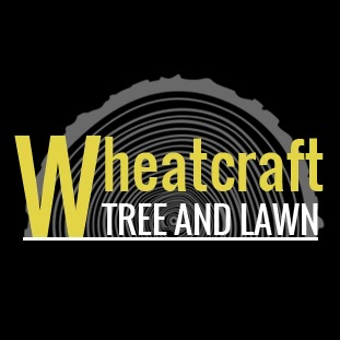 stump grinding fort wayne in