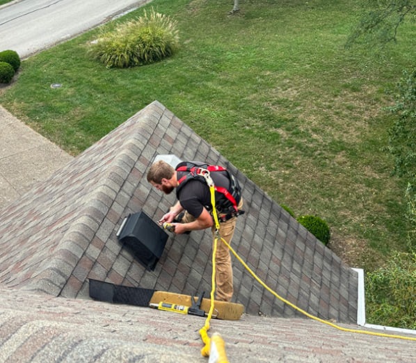 X-iT Pest and Wildlife Solutions
