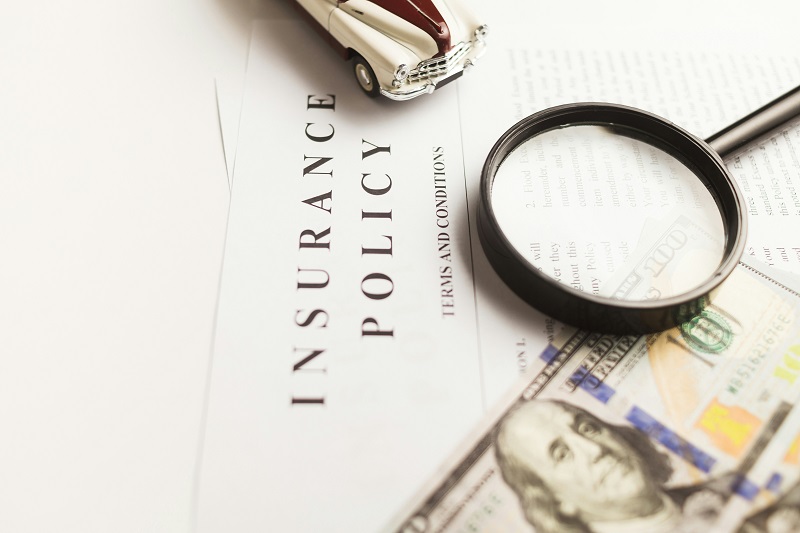 Florida Auto Plus Insurance