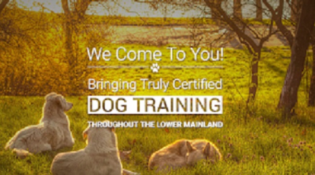 Canine United Professional Dog Services