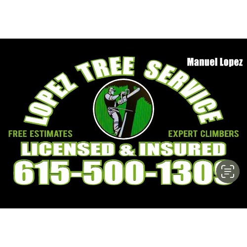 Lopez Tree Services, LTS