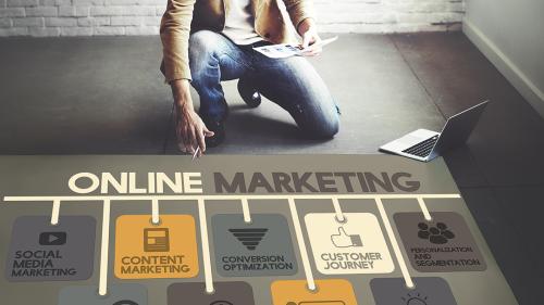 Vivid Insights & Marketing