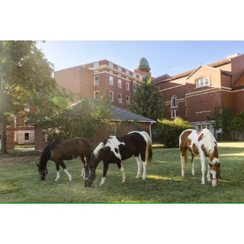 Arista Recovery: Addiction Treatment Center, Detox Center, Mental Health, Alcohol & Drug Rehab