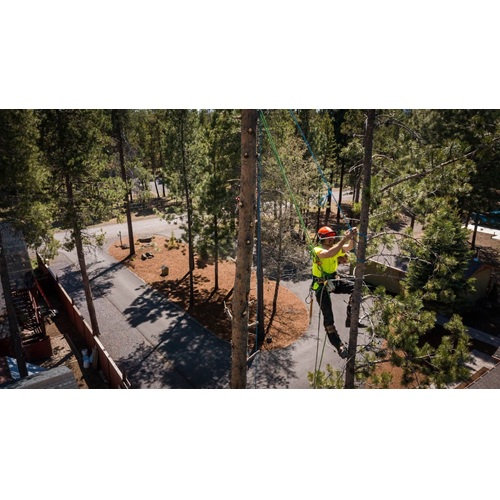 Osprey Arbor Works