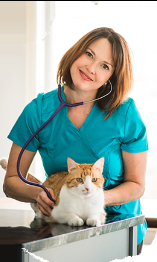 Dr. Wendy Vet Care