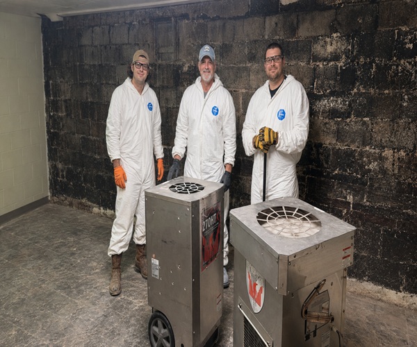 Mold Patrol of Greensboro