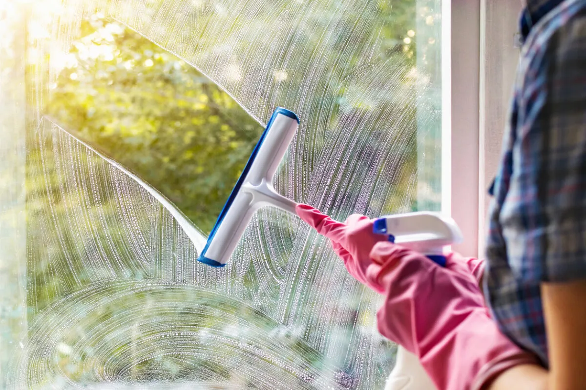 Discount Window Cleaning Services