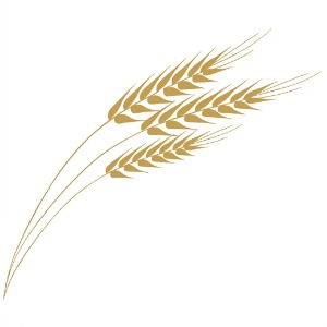 Wheat Chiropractic & Wellness Center