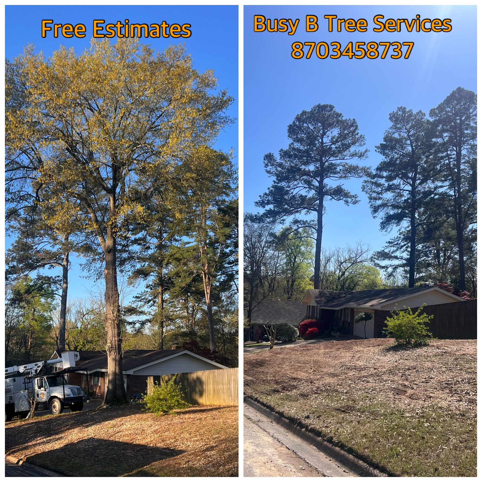 Busy B Tree Services