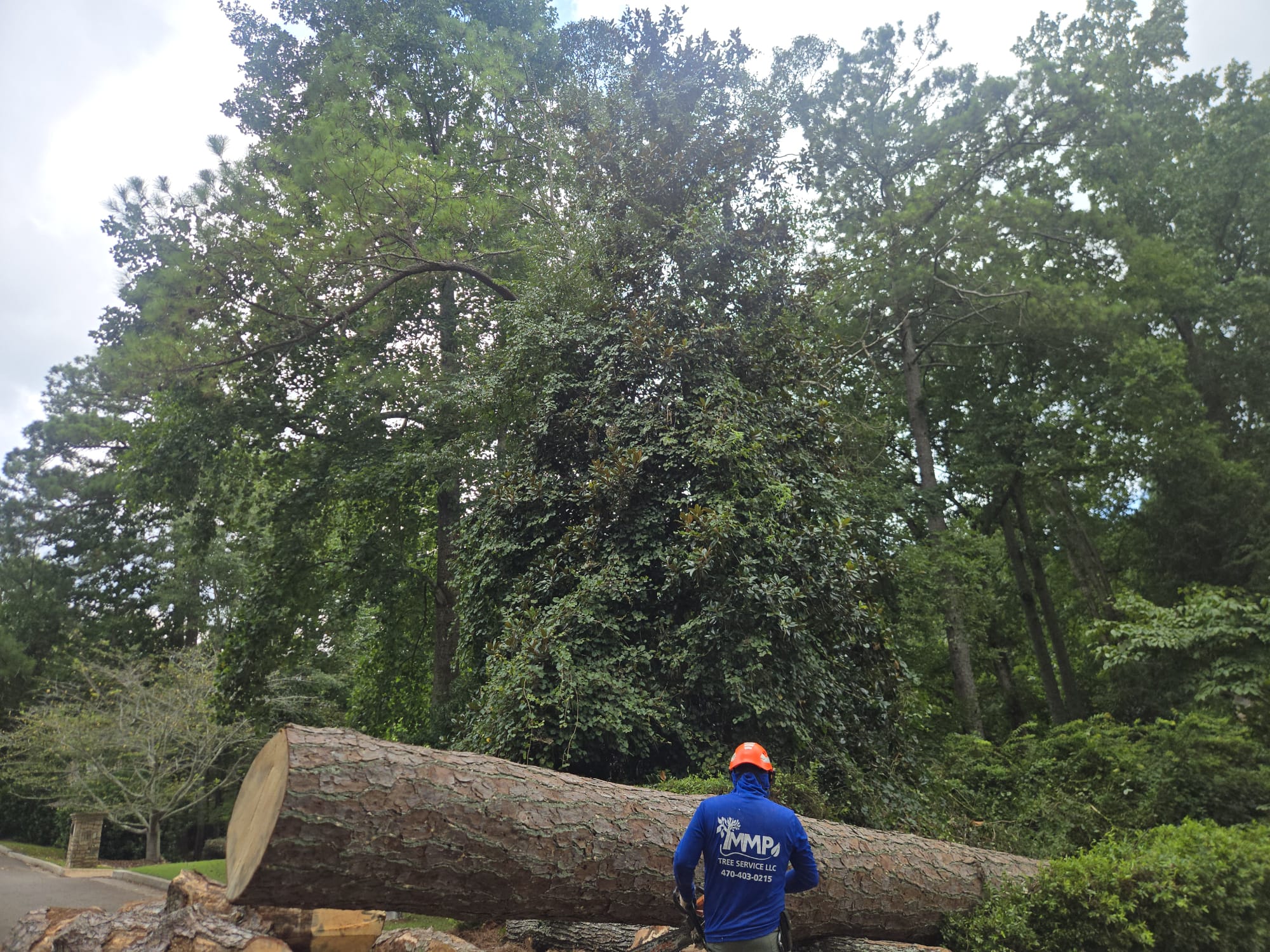MMP Tree Service LLC