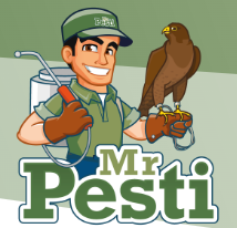Mr Pesti