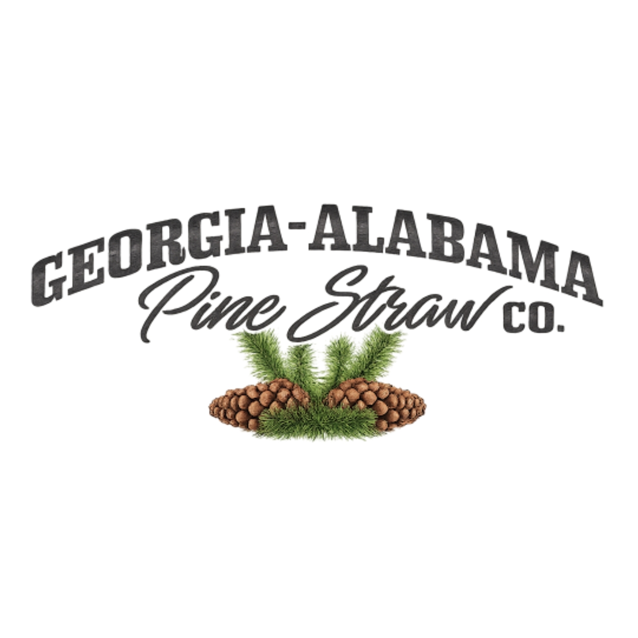Georgia-Alabama Pine Straw
